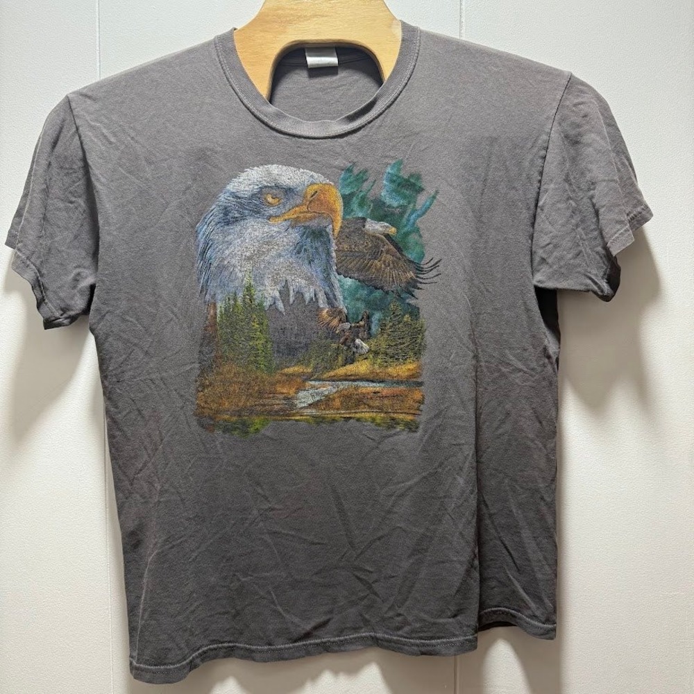 Gildan Heavy Cotton Mens Large Gray Bald Eagle Nature Graphic T-Shirt Scenic Tee